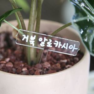 투명 거울 아크릴 식물이름표 가로형 10개입