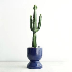 청하각 GB-2 중형 선인장 대형 화분 미드센츄리 모던 인테리어