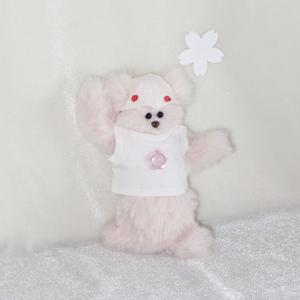 꼼짝 마! 아뵤 벚꽃 곰 keyring (도트모자)