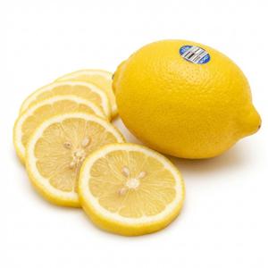 수입산 팬시 레몬 요리용 레몬수 에이드 5개 10개 20개
