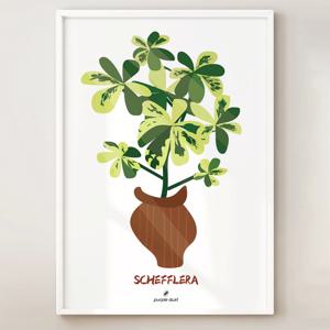 무늬 쉐프렐라 그림 식물 포스터 홍콩야자 화분 꽃집 인테리어
