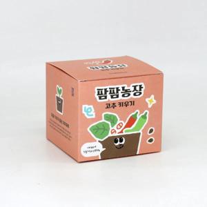 고추 모종 화분 식물 키우기 교육자료 유치원 어린이집 체험 미니텃밭