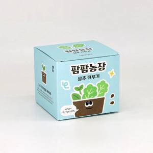 상추 모종 화분 식물 키우기 교육자료 유치원 어린이집 체험 미니텃밭