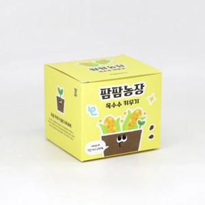 옥수수 모종 화분 식물 키우기 교육자료 유치원 어린이집 체험 미니텃밭