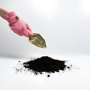 Garden Glory Diamond Spade Rose