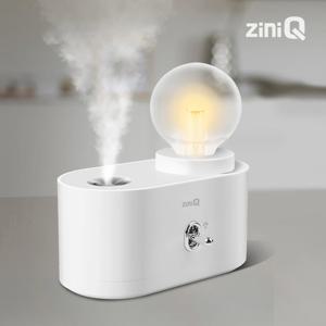 LED 무드등가습기 무선 미니가습기 2단계가습량 C타입전원 ZQ-HM600L