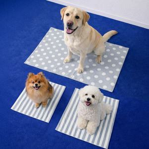 멍보스 냉감100% 강아지 애견 대형견 아이스 커버분리 쿨매트