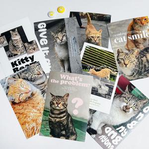 엽서/미니포스터 회심의 고양이 8P SET 벽꾸미기 인테리어 소품