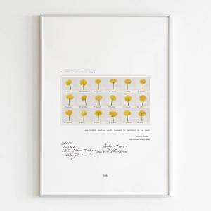 댄들라이언 시퀀스, 민들레 블랙&화이트 인테리어 액자 거실 카페 벽 포스터 갤러리