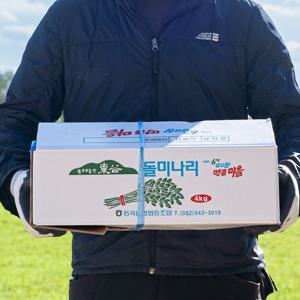 신선한 무등산 돌미나리 1kg 외 2kg/ 3kg