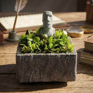 콩짜개난 모아이 오브제(Moai Objet) 다육이 미니화분