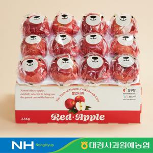 곰돌이 세척사과 2.5kg 11~13과 / 14~16과