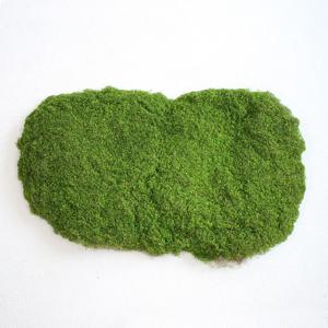 내추럴 투톤 인조 원형 이끼 라지 매트 조경 디자인 플라워데코 모스 테라리움 가짜잔디