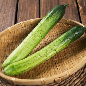 고흥 백다다기오이 14개입 3kg내외