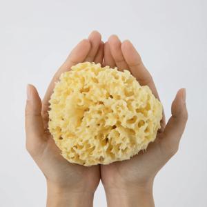 LAGRANG 천연해면(바디용) - L SIZE