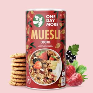 원데이모어 쿠키 뮤즐리 450g 비건 시리얼 초코 귀리 그래놀라