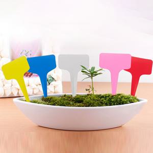 빅사이즈 컬러 화분 식물 꽃 이름표 라벨 20매 팻말 네임택