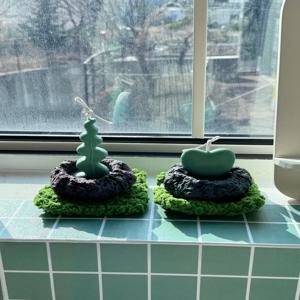 팟 캔들 피쉬본 하트호야 다육이캔들 식물캔들