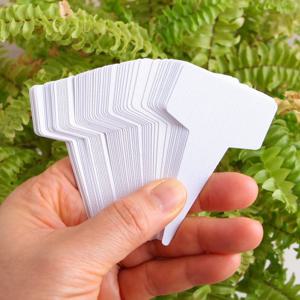 식물 이름표 화분 식물 꽃 팻말 네임택 라벨 100매