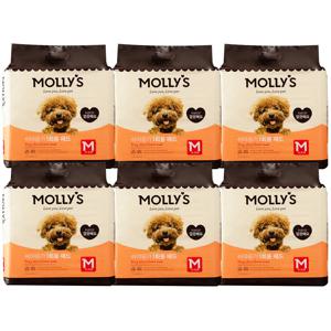 쉬야응가 1회용 패드 M 100매 x 6개 묶음