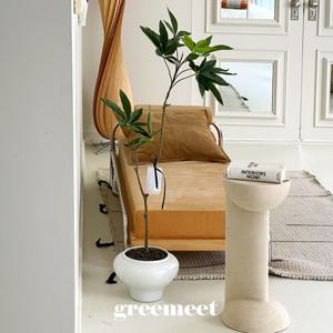 리얼플랜트 파키라 조화 중형 달항아리화분세트