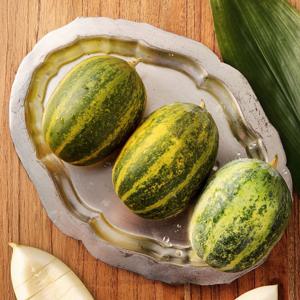 신품종 개구리 참외 1kg (2~4과 내외) 파파야멜론 재래종