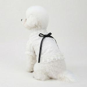 강아지 봄옷 여름옷 레이스 기본 티