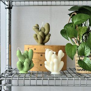 [10%쿠폰] 선인장캔들 식물 오브제 인테리어 소품 집들이 개업 생일 선물
