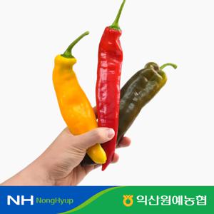 [농협선별] 국내산 트리벨리 파프리카 / 실중량 산지직송