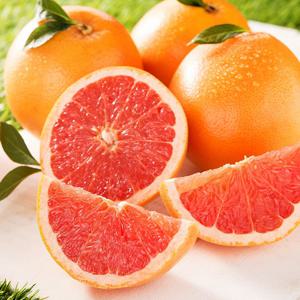 제주 자몽 스타루비 특대과 2kg (3과 내외) 외 중대과