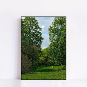 No.652 Dreamy Den 귀여운 강아지 냥이 공원 숲 힐링 동물 인테리어 포스터