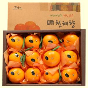 제주도 프리미엄 새콤달콤 천혜향 (7~12과) 2kg
