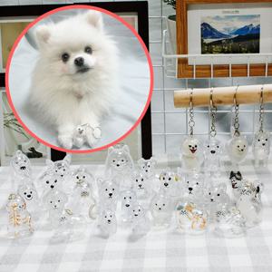 강아지 메모리얼 키링 고양이 털보관 키홀더 목걸이 유치 수염 추억 기념