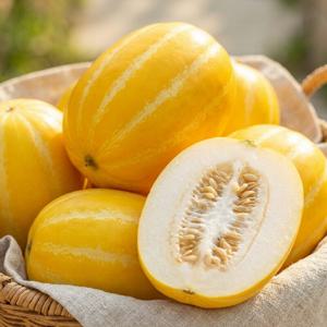 성주 꿀 참외 로얄과 가정용 2kg 5kg