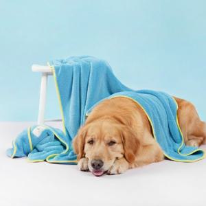 아보카도 그린 펫타월 L 120x70cm