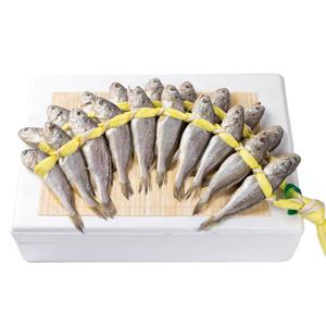 국내산 법성포 영광굴비 가정용 참조기 20미