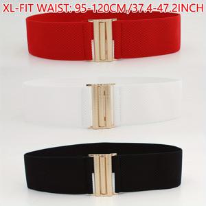 TEMU 여성용 골드 버클 6cm 신축성 허리밴드 3개