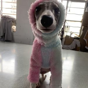 TEMU 유럽 및 미국 패션의 애완견, 트렌디, 홀치기, 프린트 플리스, 따뜻함, 얼룩말, 강아지, 사냥견, 휘펫, 고양이 잡는 견과 하이넥 칼라. 가을/겨울 따뜻한 원지 카테고리: 점프수트