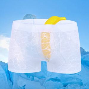 TEMU 1개 남성용 시스루 레이스 박서 브리프 - 고탄력 나일론 & 탄성 허리밴드, 통기성 메쉬 디자인, 가벼운 슬림핏 데일리웨어 & 스포츠언더웨어, 편안한 속옷, 감각적인 란제리, 부드러운 소재, 세련된 언더가먼트, 캐주얼 인티미어, 스트레치 가능한 내의, 액티브 라이프스타일