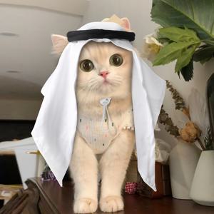 TEMU 1개 애완동물 모자 머리 스카프 파티 장식 재미있는 코스튬 파티 역할 놀이 모임 사진 촬영 귀여운 고양이 모자 애완동물 장식 애완용품 액세서리 중간 크기의 고양이, 작은 토끼 및 작은 강아지에게 적합, 33Lbs 이상에는 적합하지 않음