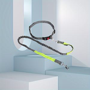 TEMU 스포츠 및 걷기에 적합한 다기능 러닝 허리 벨트, 신축성 있는 나일론 애완동물 리드