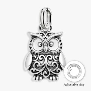 TEMU 925 실버 도금의 빈티지 올빼미 펜던트입니다. 새해, 발렌타인데이, 어버이날, 파티, 생일에 적합합니다. 가을, 겨울에 인기 있는 선물이며, 귀걸이, 팔찌 등 다양한 디자인을 만드는 데 적합합니다.