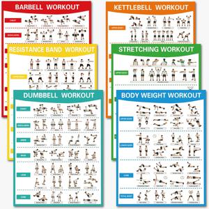 TEMU 6개 피트니스 포스터 세트 | 스트레칭, 무게lifting, 덤벨, 요가, 안정성 볼, 바벨, 저항 밴드, 케틀벨 운동 | 헬스장 장식, 홈 피트니스 가이드, 프레임리스, 혼합 색상, 20.32x25.4 cm에 적합