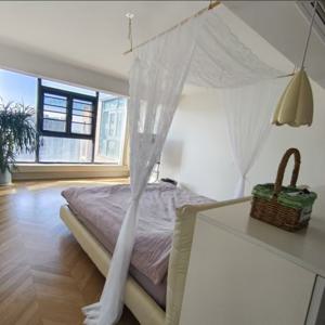 TEMU 세련된 흰색 레이스 천장 침대 커튼 1개, 사다리형 디자인, 가벼운 원단으로 제작, 풀/더블 침대에 적합, 로맨틱한 침실 장식에 완벽 | 우아한 레이스 디자인 | 폴리에스터 섬유