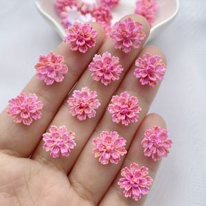 TEMU 30개 혼합 레진 카네이션 꽃 네일 아트 참, DIY 헤어 클립, 넥타이 및 폰 케이스 장식용 12mm 플랫백 라인스톤