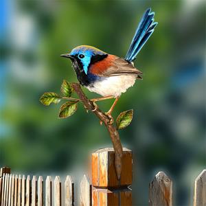 TEMU 금속 가지 새 울타리 정원 장식 인서트