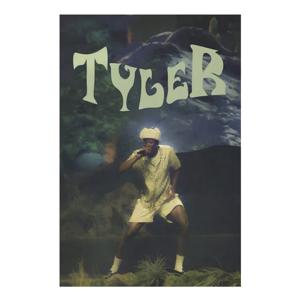 TEMU 2D 플랫, 1개 프레임리스 