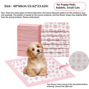 TEMU 40매 강아지 패드 24