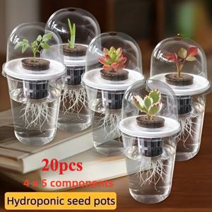 TEMU 20개입 (5개 구성품 * 4) 수경 재배 키트, 투명 플라스틱 원통형 화분 (수경 재배 씨앗용), 식물 재배를 위한 높은 투과성 컵, 뿌리 성장 관찰 디자인, 뿌리 스러짐 방지를 위한 통기성을 위한 작은 구멍 디자인