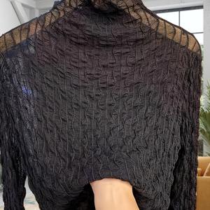 TEMU 여성용 새로운 가을 하이넥 레이스 베이스 셔츠, 러플 엣지 메쉬 탑, 핏되는 긴 소매, 시어 디자인